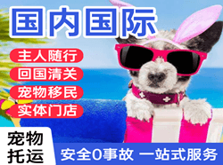 伊春机场邮寄国际宠物托运 【国